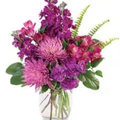 Very Violet