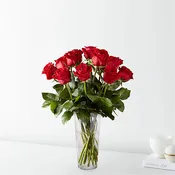 Bella Red Roses