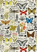 Book of Insects - Rice Decoupage Paper