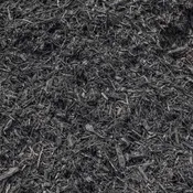 Satin Black Pine