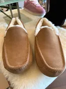 [Final Sale] UGG Men's Ascot Chestnut size 10