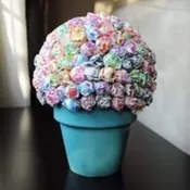 Dum Dum Tree
