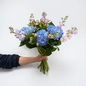 Blue Hydrangeas & Lavender Stock Bouquet – “Bluebell Garden”
