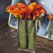 Mango Calla Lillies are Wow!
