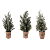 3 Asst Lg Frosted Tree w/Paper Cup