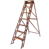 Antique Library Ladder