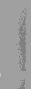 Gray Premium Glossy Vinyl - CGull