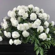 Casket Spray CS-18