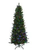 Alberta Slim Spruce 7.5'
