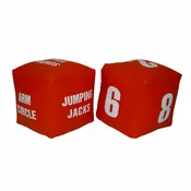 4" Fitness Dice