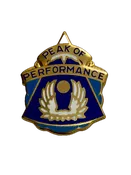 20th Army Aviation Battalion Unit Pin