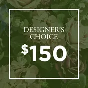 Designer's Choice $150