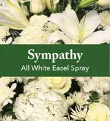 All White Easel Spray