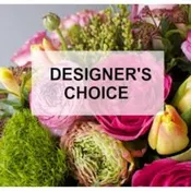 $75 Designer's Choice Arrangement