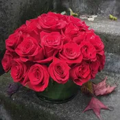 Three Dozen Classic Red Roses