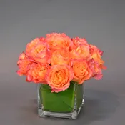 Rose Beauty and Love