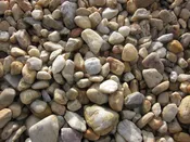 2" - 4" Maryland River - sold per cubic yard — Timothy's Center for Gardening