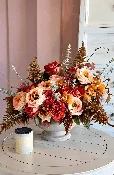 CALABASAS AMBERVEIL BLOOMS