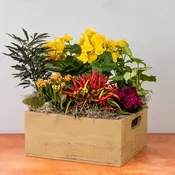 Fall Beekeeper Box