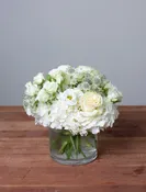 Sympathy Low and Lush Arrangement For the Home