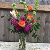 High and Magic Rose BQT