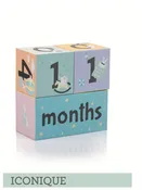 Baby Milestone Blocks, Set of Cubes, Decor for your pictures by Baby Tales