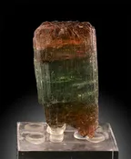 1-3/4" Bicolor Elbaite Tourmaline
