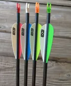 APOLLO 740 2DV HG