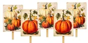 12 Piece Harvest Pumpkin Pick Assortment