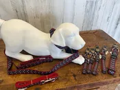 Anchors Dog Collar