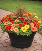 14" ANNUAL PATIO POT