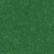 Paint Pop - Dark Green