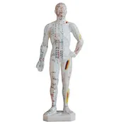 Acupunture Mannequin Small