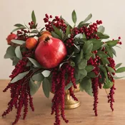 Pomegranate Harvest