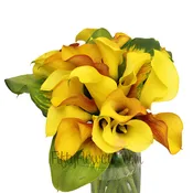 20 Mini Calla Lilies and Leaf Centerpieces