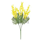 Acacia Mimosa Flowering Bush, 14in, Yellow