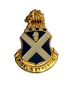113th Infantry Regiment Unit Crest Insignia Pin