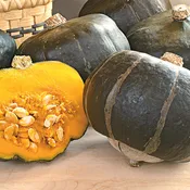 Squash, Winter, Bonbon Hybrid