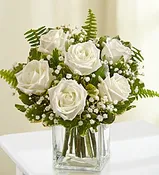 6 BEAUTIFUL PREMIUM WHITE ROSES (R)