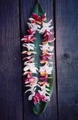Plumeria Lei
