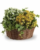 BASKET OF JOY