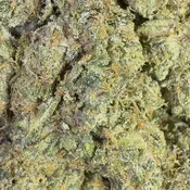 Candyland | 3.5 Grams | Sativa