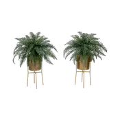34" Verdant Duo with Stand DIY Kit (Set of 2)