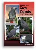 A Guide to African Grey Parrots as Pet & Aviary Birds