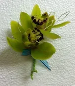 GREEN CIMBIDIUM ORCHID