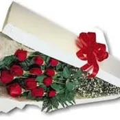 CLASSIC BOXED ROSES  NEW-R39