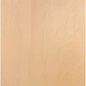 American Birch Plywood