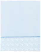 Blank Bottom of Page Laser Checks