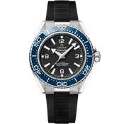 42 mm, steel on rubber strap