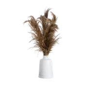 30" Desert Whisper - Dried Natural Pampas in Ceramic Vase